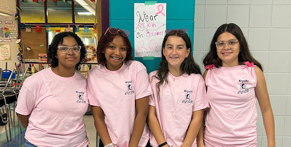 MMS Language Mentors