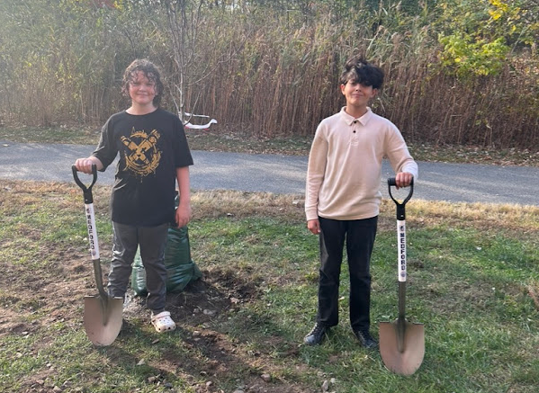 Tree Planting