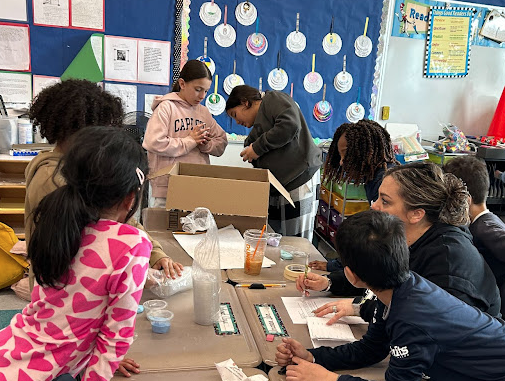 Supporting Animal Shelters